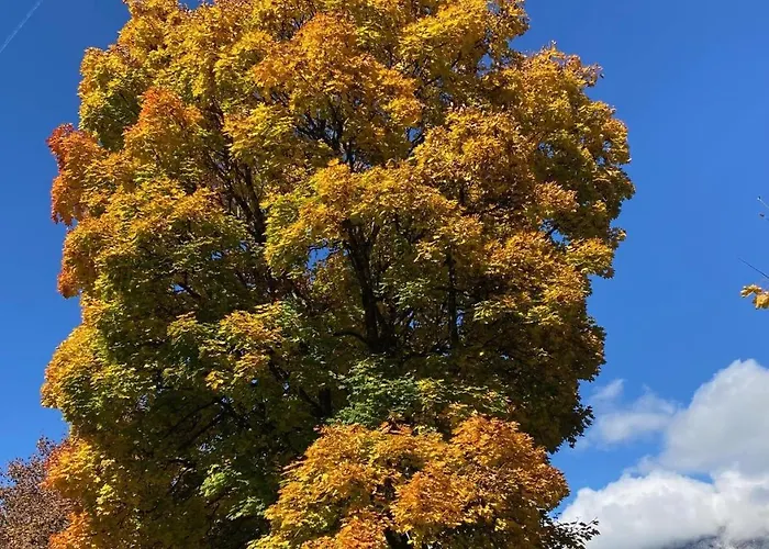 Apartment Haus Gaberhel Ellmau